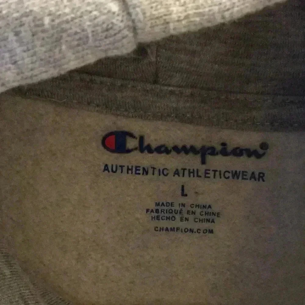 3/$20 Champion hoodie boys school sweater sweatshirt unisex grey athletic gym - Picture 2 of 3